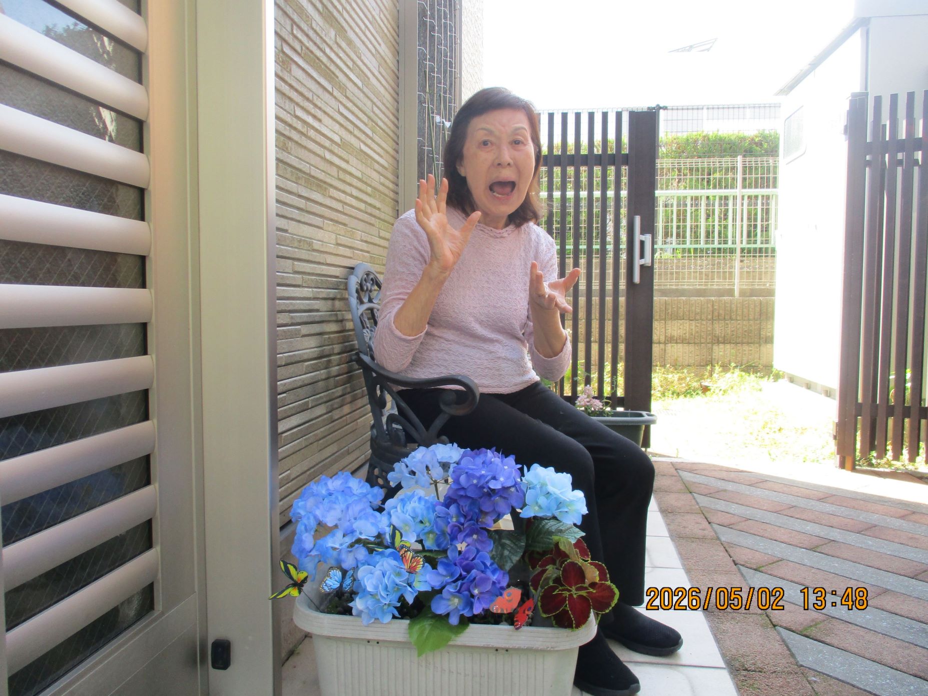 写真